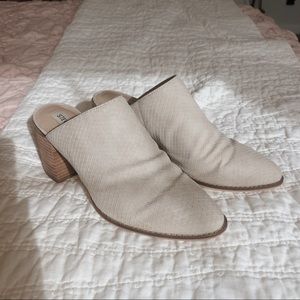 Heeled Steve Madden Mules